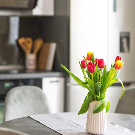 Apartment Vita อิซอลา ภายนอก รูปภาพ